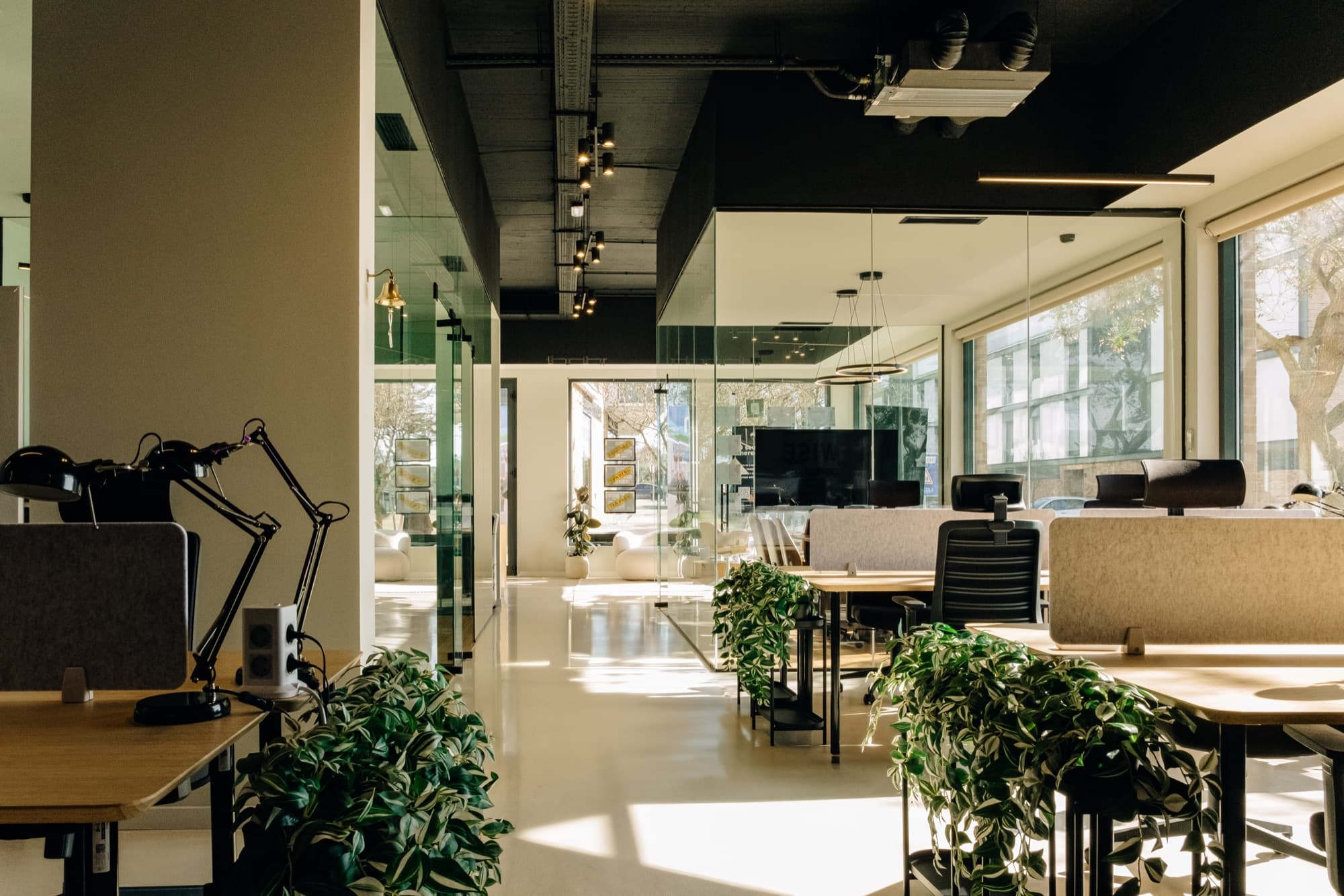 Skaler's Lisbon office with shared desks, meeting rooms, and plants